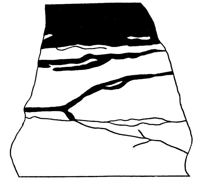 Sketch showing gypsum veinlets penetrating anhydrite within Medicine Lodge gypsum at contact of gypsum and anhydrite.