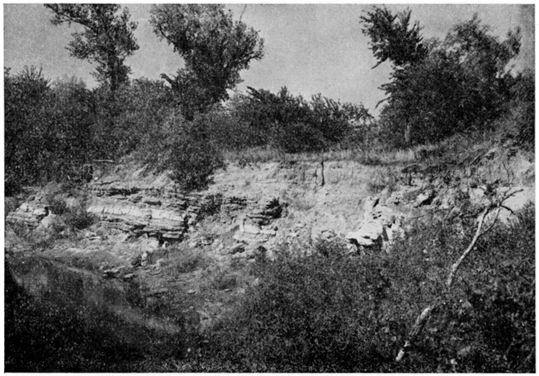 Black and white photo; Outcrop of gypsum at old Solomon mine on Gypsum Creek in sec. 3, T. 14 S., R. 1 W., Saline County.