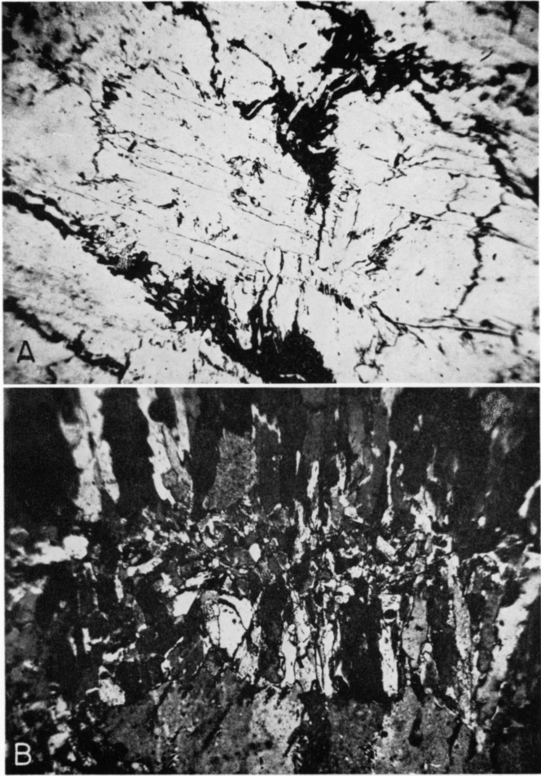 Two black and white photomicrographs of gypsum.