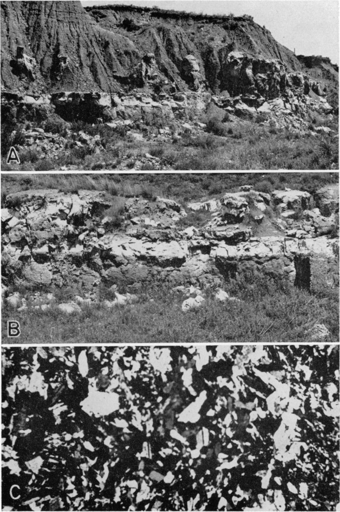 Three black and white photos; Top two are of outcrops of Dog Creek Shale and Medicine Lodge Gypsum; Bottom is photomicrograph of gypsum.