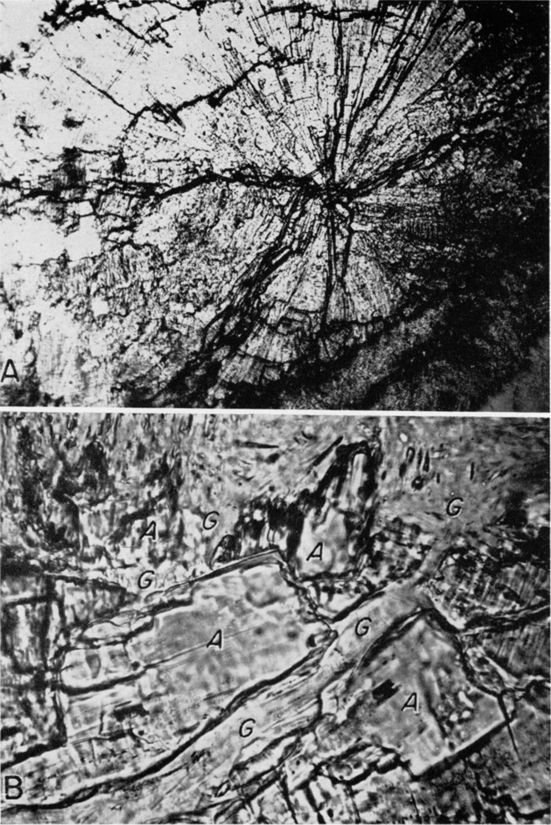 Two black and white photos; photomicrographs of gypsum and anhydrite.