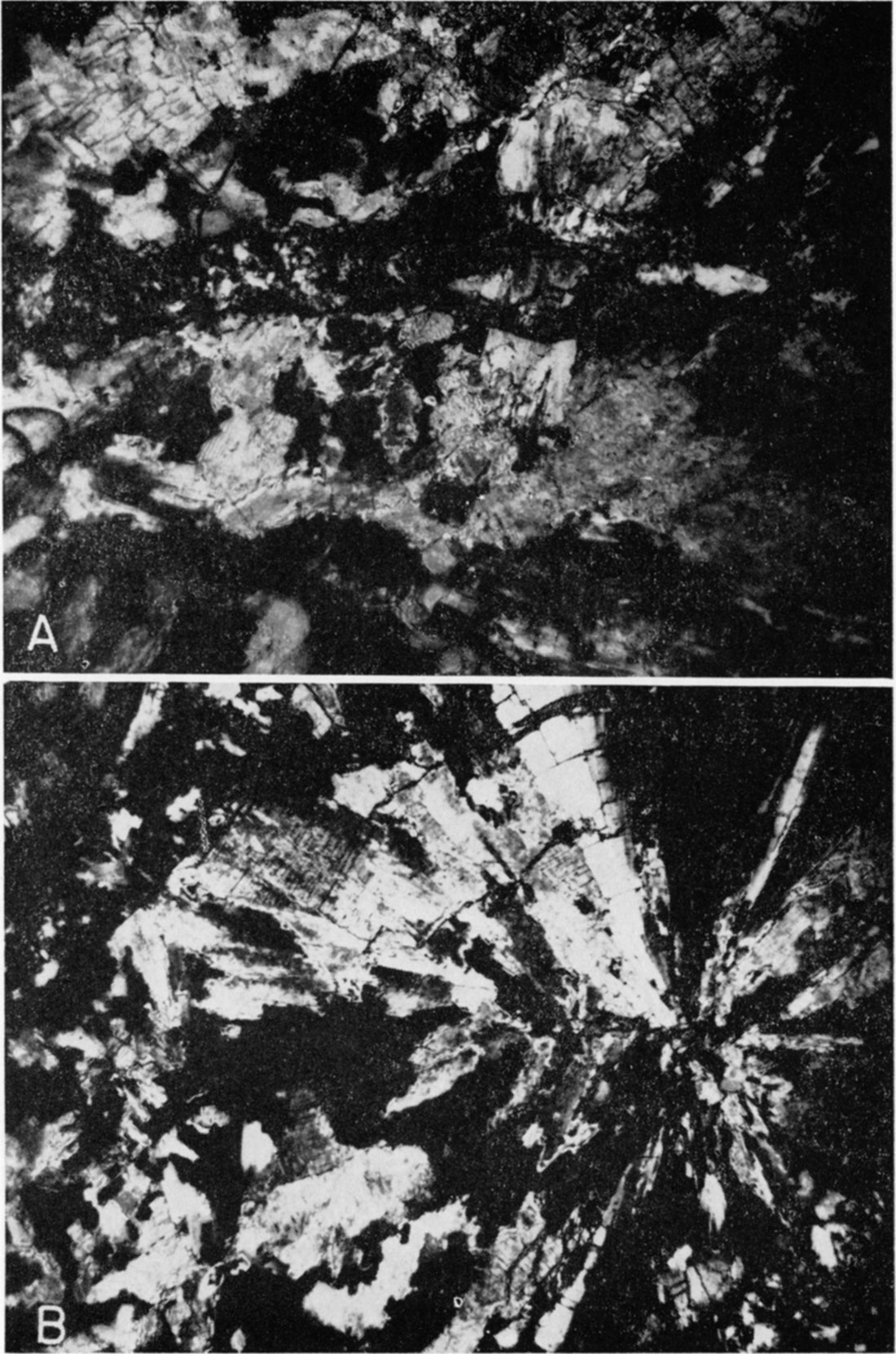 Two black and white photos; photomicrographs of gypsum and anhydrite.
