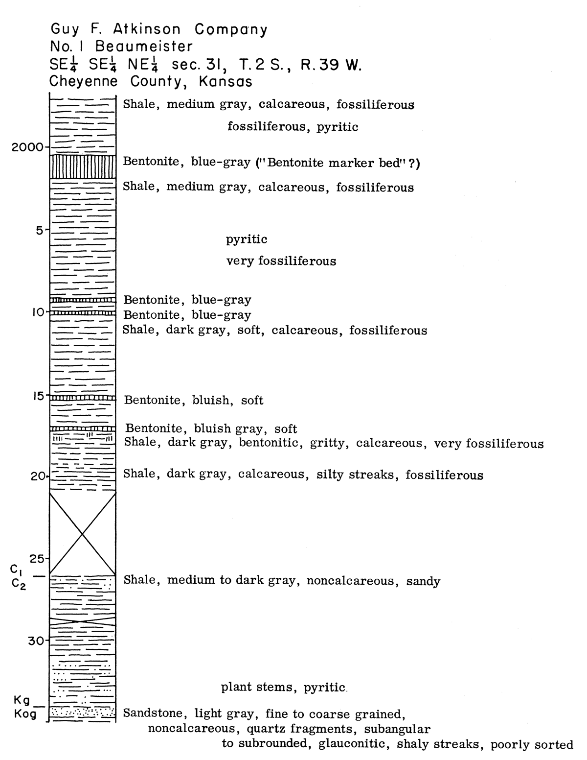 Graphic description of Dakota (Cretaceous) core.