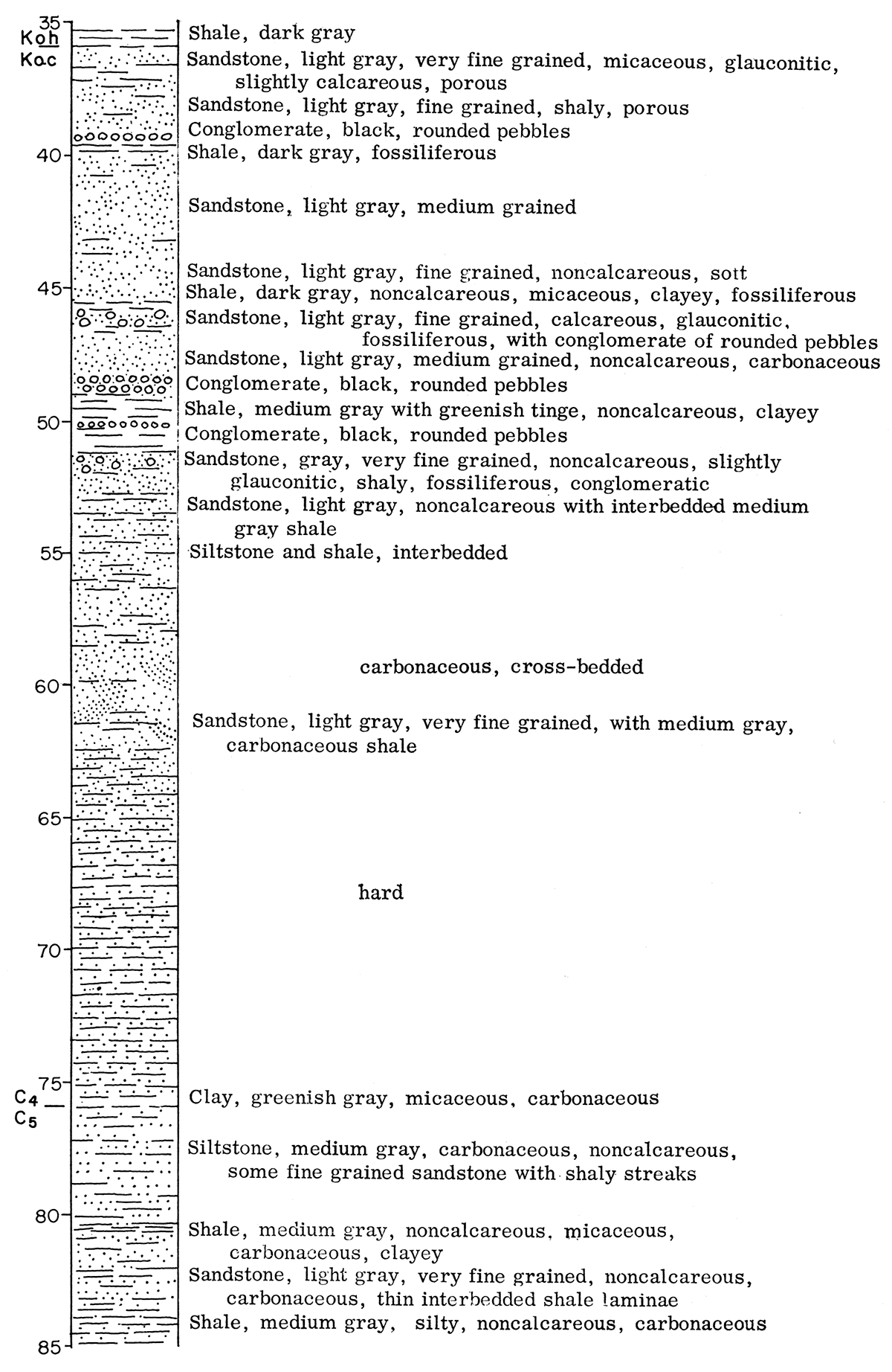 Graphic description of Dakota (Cretaceous) core.