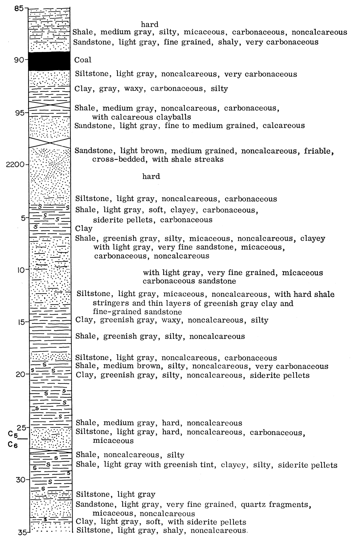 Graphic description of Dakota (Cretaceous) core.