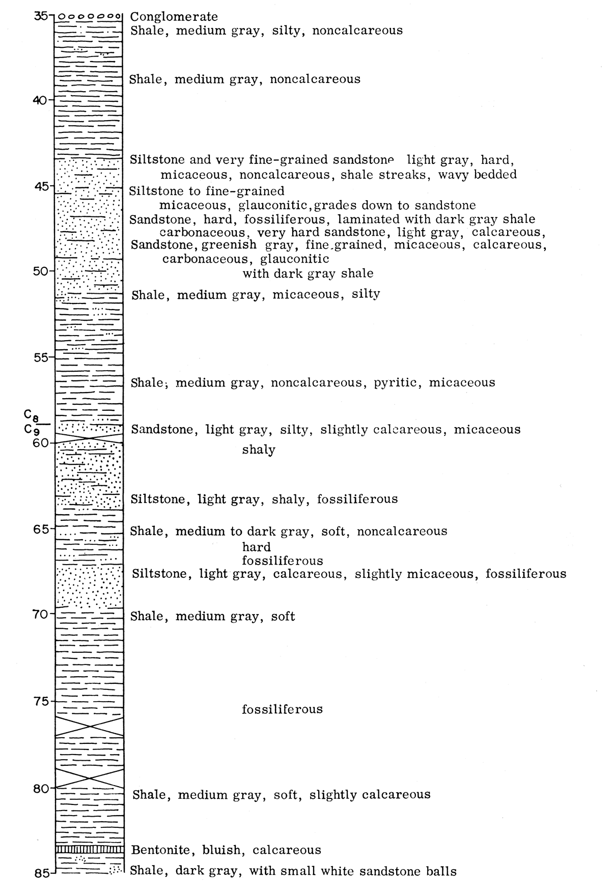 Graphic description of Dakota (Cretaceous) core.