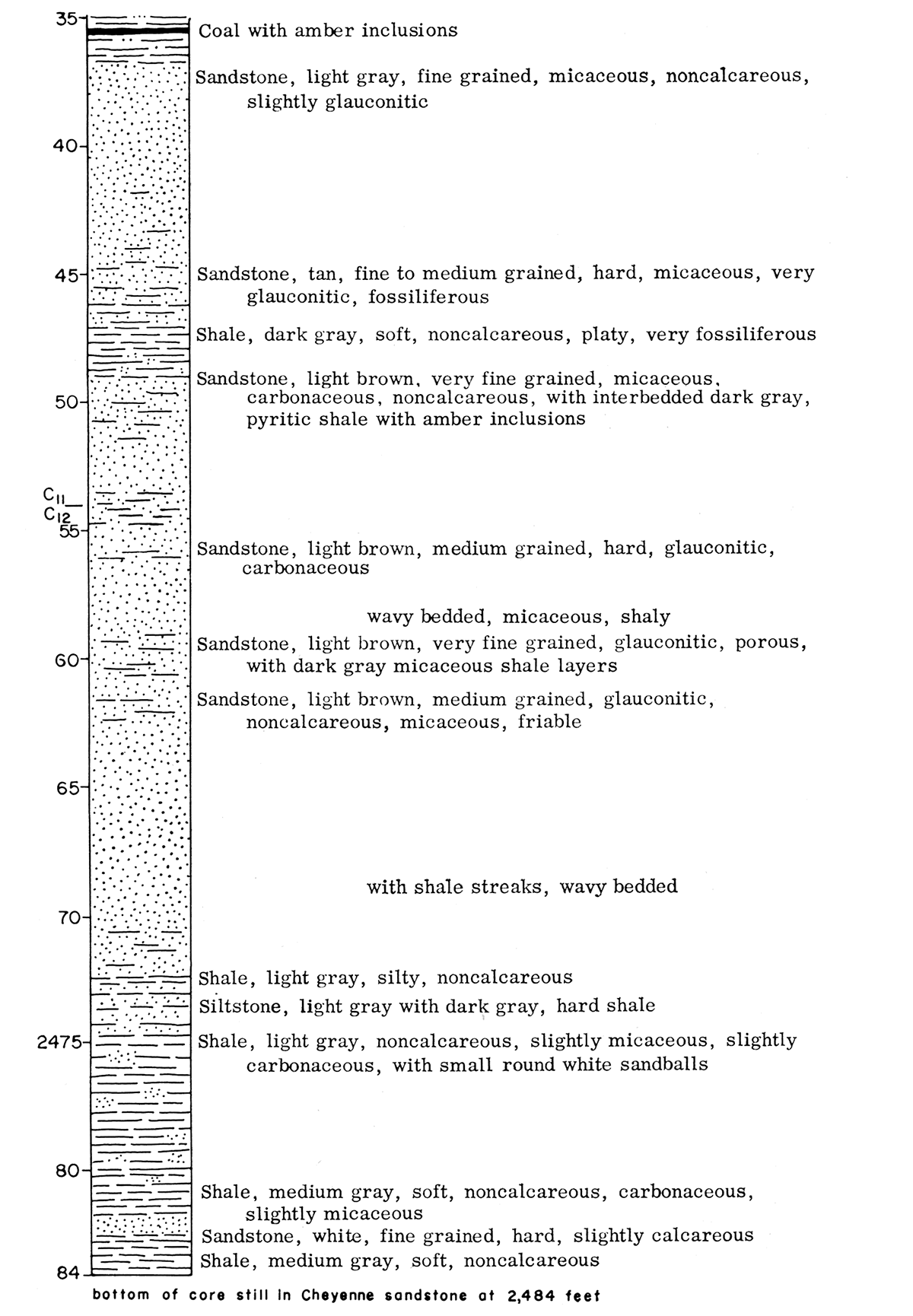 Graphic description of Dakota (Cretaceous) core.