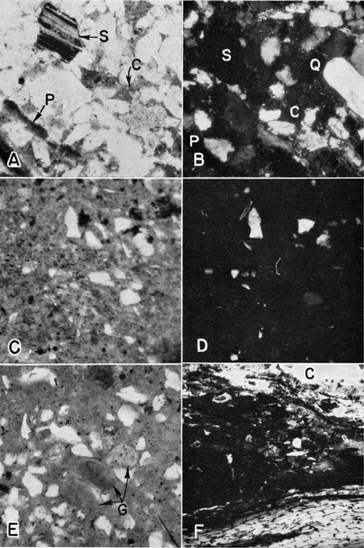 Photomicrographs of thin sections.