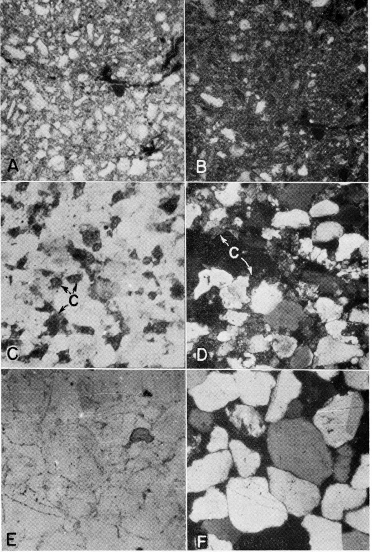 Photomicrographs of thin sections.