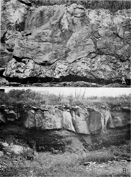 Two black and white photos of Blackjack Creek Limestone outcrops.