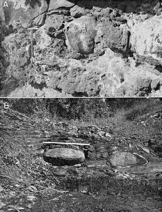 Two black and white photos; top shows close up of conglomerate in Englevale Sandstone; bottom photo is of concretions in Excello Shale, with Mulky coal beneath.