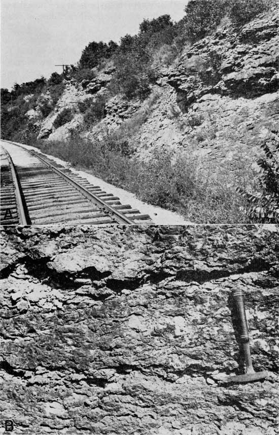 Two black and white photos; top is brush-covered limestone outcrop along railroad line; bottom is of closeup, rock hammer for scale.