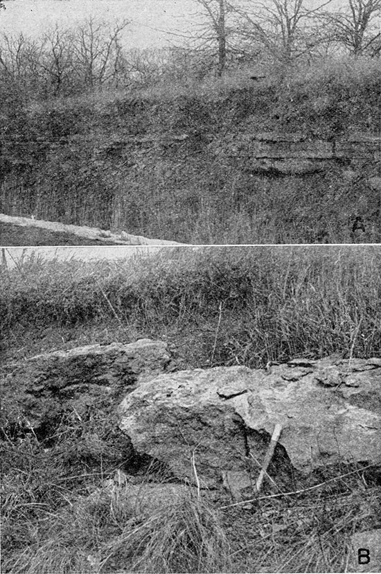 Two black and white photos; top photo is roadcut with resistant Reading Ls between two shales, Auburn above and Harveyville below; bottom photo is closeup of Brownville Ls rock on grassy hill, rock hammer for scale.