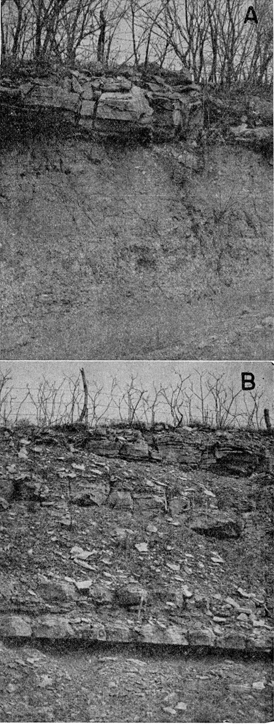 Two black and white photos; top photo is roadcut with blocks of Cottonwood Ls above Eskridge Shale; bottom photo is roadcut, Burr Limestone, Legion Shale, and Sallyards Limestone members of Grenola Limestone.