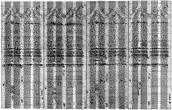 Four typical seismic records.