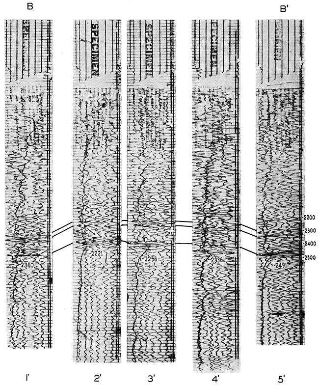 Seismic record section across Lindsborg pool.