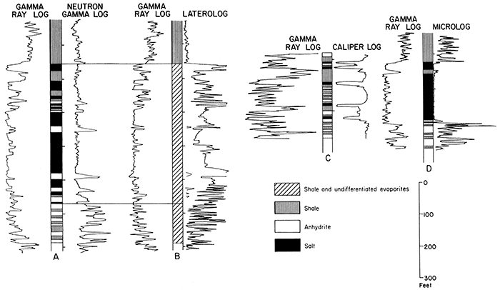 Four example electric logs.