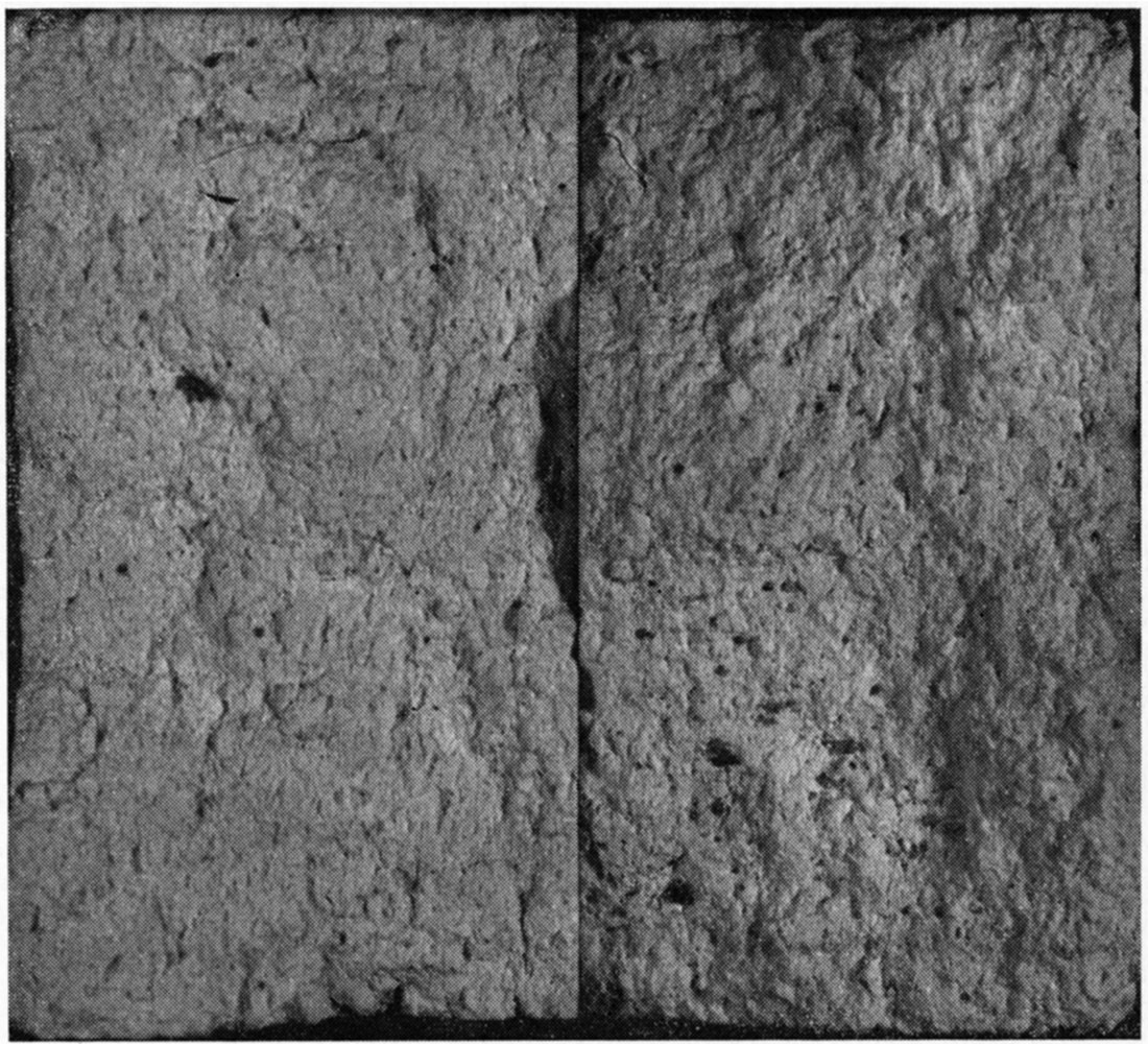 Black and white photo of broken brick El-60-13, fine texture, modulus of rupture 150 psi.