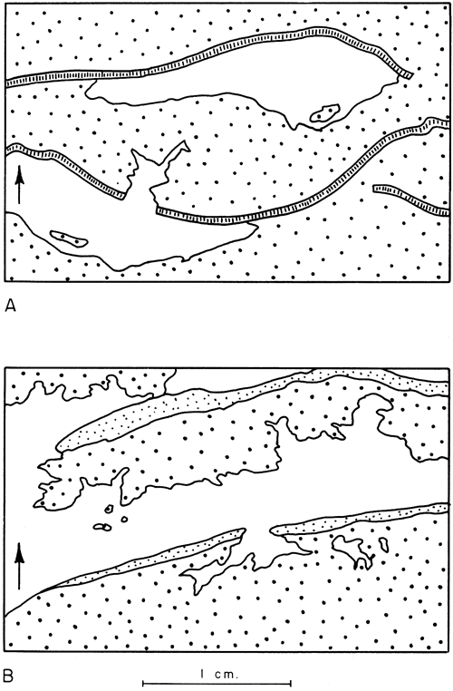 Drawings highlight different freature of two limestone mosaics.