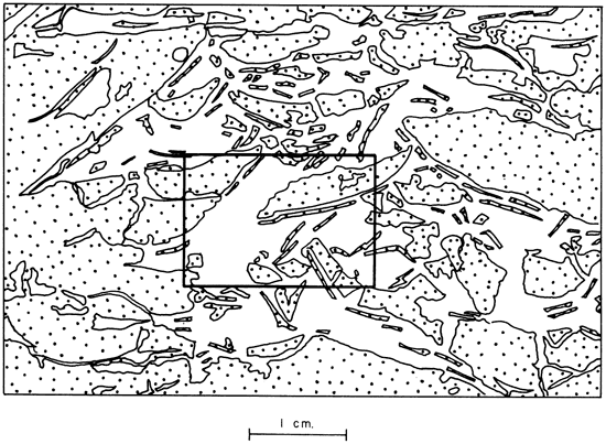 Drawing to highlight features of previous peel print.