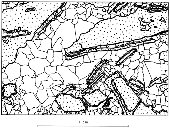 Drawing to highlight features of previous peel print.