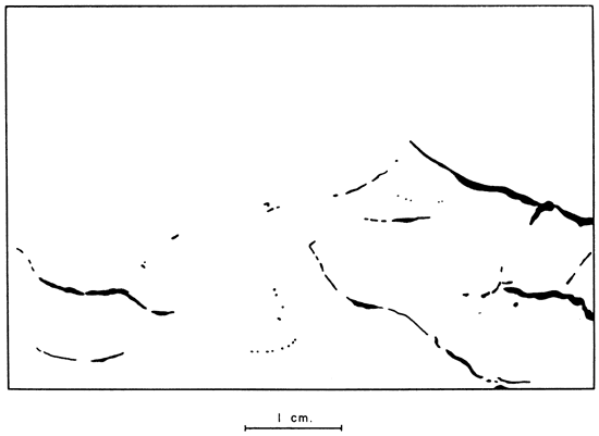 Drawing to highlight pores of previous peel print.