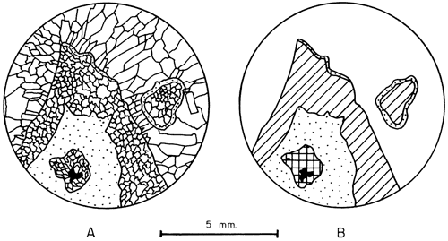 Drawing showing details from previous figure.