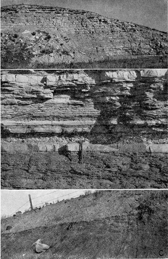Three black and white photos; top photo is outcrop of Greenhorn Limestone; middle photo is outcrop of bentonite bed of Jetmore Chalk; bottom photo is Blue Hill Shale member of Carlile Shale.