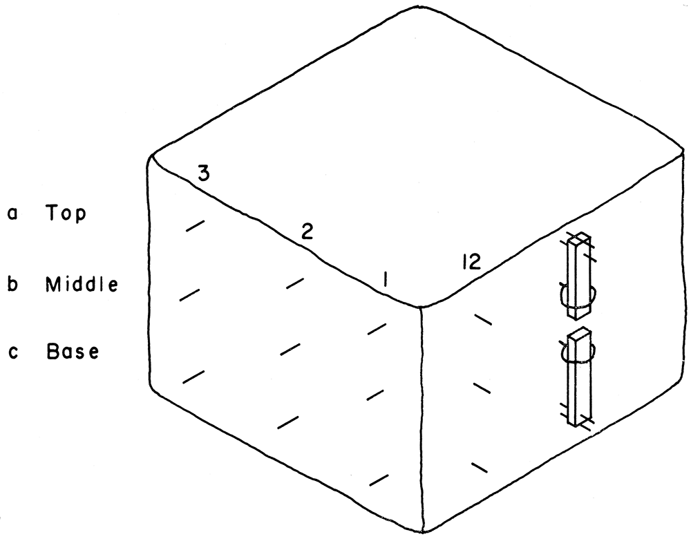 Locations of pins on face of salt pillars at Lyons and Hutchinson mines.