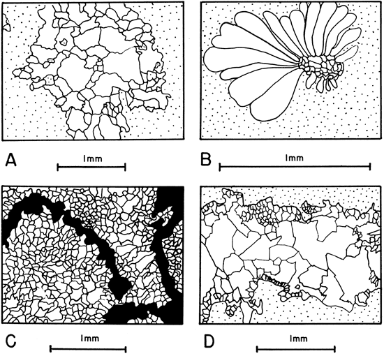 Drawings showing 4 types of crystalline calcite.