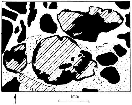 Drawing showing features of plate 10B.