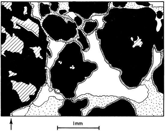 Drawing showing features of plate 3B.