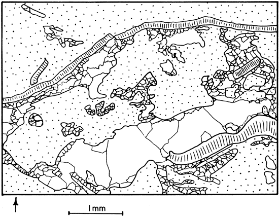 Drawing showing features of plate 4B.