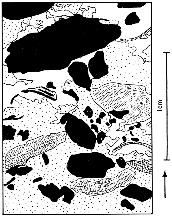 Drawing showing features of plate 6.