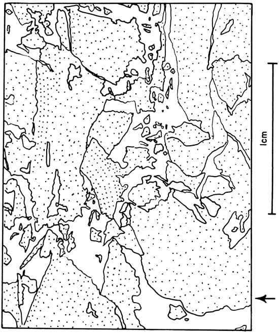 Drawing showing features of plate 7.