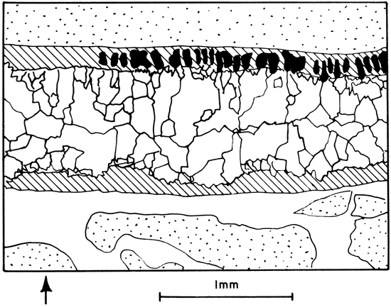 Drawing showing features of plate 10A.