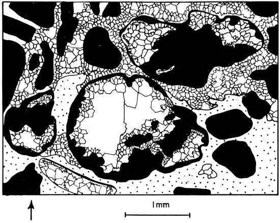 Drawing showing features of plate 10B.