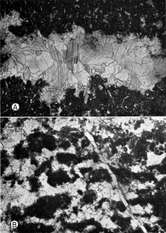 Two black and white micrographs.