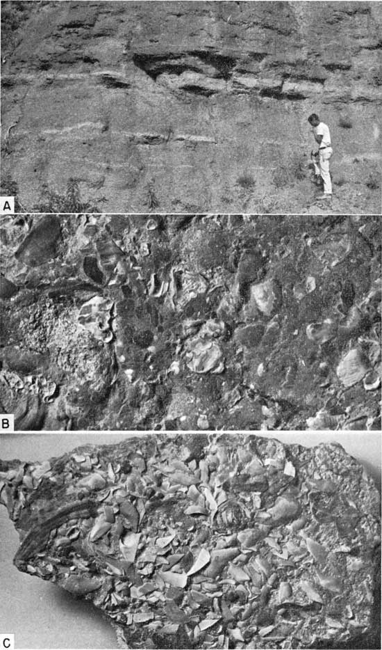 Three black and white photos; top shows worker standing next to gray outcrop of Fairport; bottom two show closeups of calcarenite.