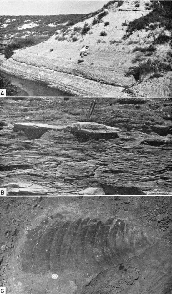 Three black and white photos; top shows outcrop alog stream bed; bottom two show closeups of Fairport beds.