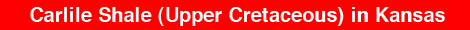 Stratigraphy of the Carlile Shale (Upper Cretaceous) in Kansas