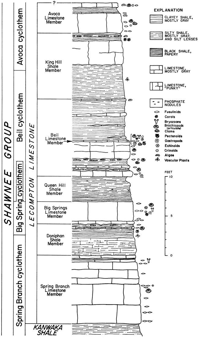 In Lecompton Limestone are Avoca Limestone Member, King Hill Shale Member, Beil Limestone Member, Queen Hill Shale, Big Springs Limestone Member, Doniphan Shale Member, Spring Branch Limestone Member.