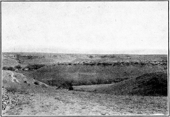 Fort Hays capped hills in sec. 13, T. 7 S., R. 15 W., Osborne County.