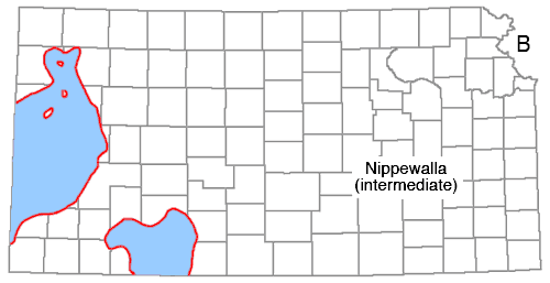 Nippewalla present far west (north of Stanton, south of Thomas, west of Scott); also in Meade and Clark.