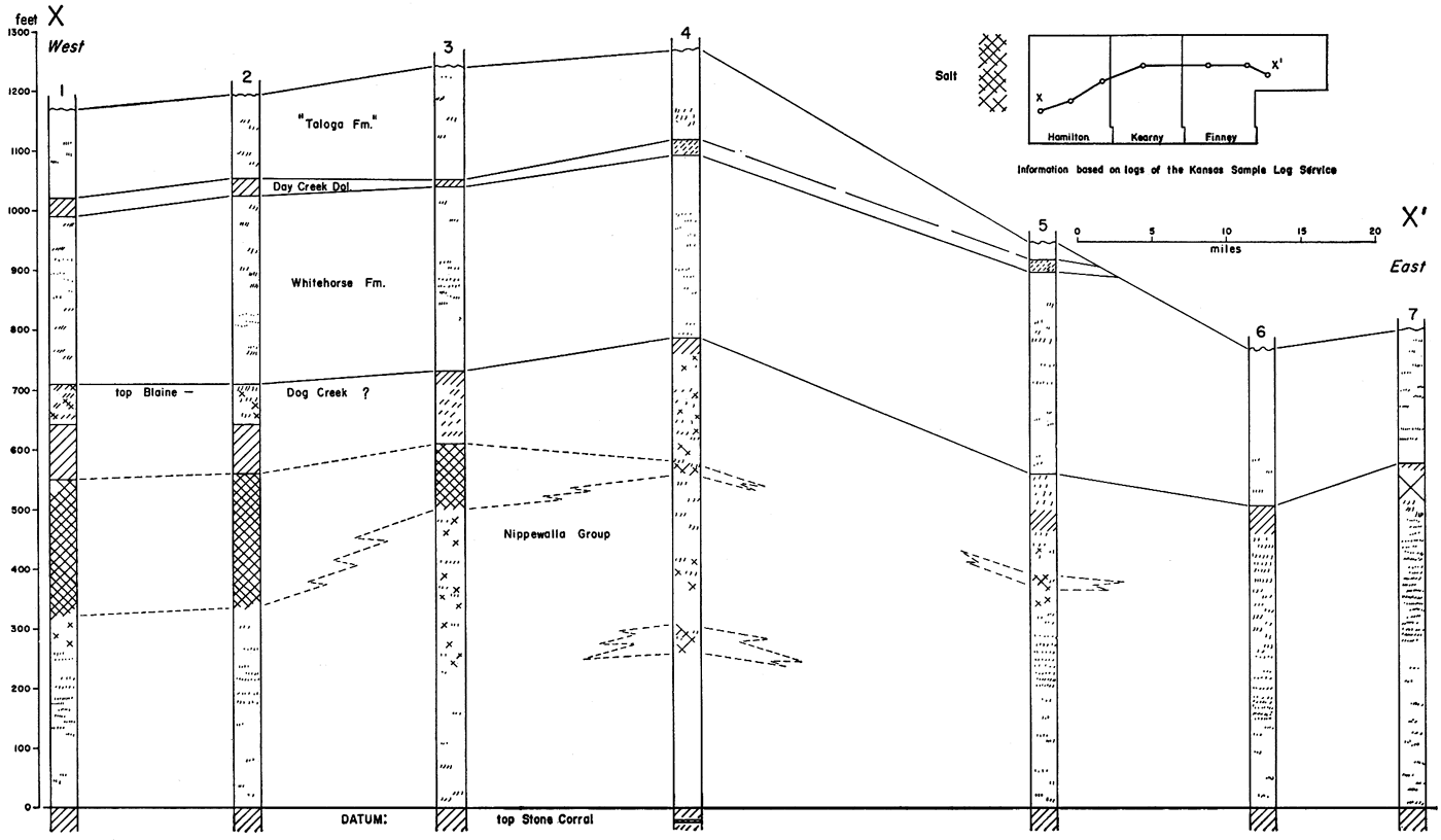 Taloga pinches out by middle of Finney; Whitehorse is consistent from west to east; salt in Nippewalla preset in west (200 ft thick but pinches out by middle of Kearny.