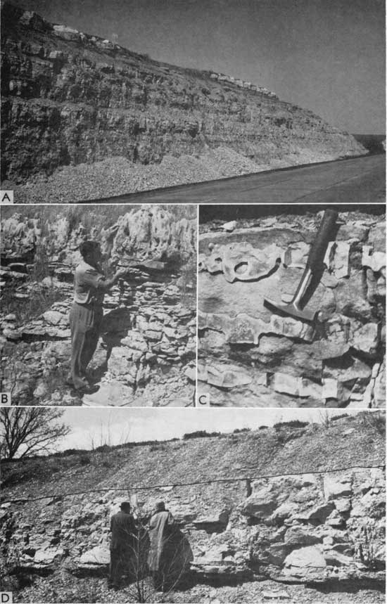 Four back and white photos of Chase Group outcrops.