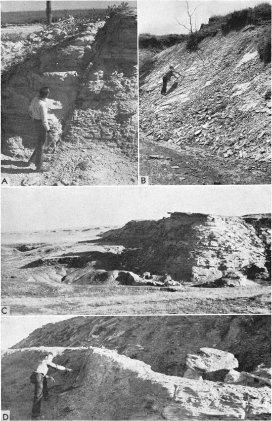 Four black and white photos of outcrops.