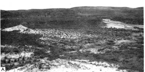 Black and white photo of gentle hills in Champion Draw.