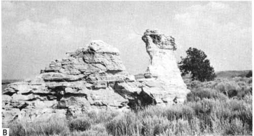 Black and white photo of eroded sandstone; in shape of camel.