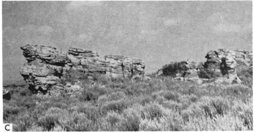 Black and white photo of sandstone outdrop in grasses.